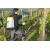 Opryskiwacz ogrodowy MESTO RS 185, 18 l, 6 bar, plecakowy [3558]